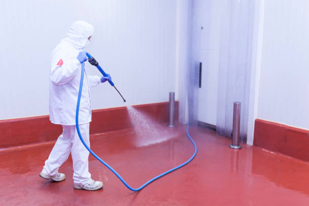 Reliable Uniontown, AL Pressure Washing Services Solutions